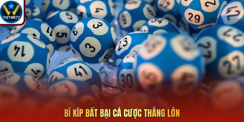Bí kíp bất bại cá cược thắng lớn