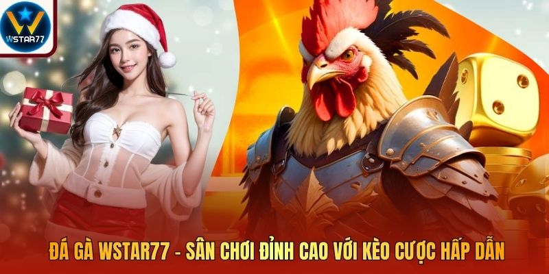 Đá Gà Wstar77 – Sân Chơi Đỉnh Cao Với Kèo Cược Hấp Dẫn