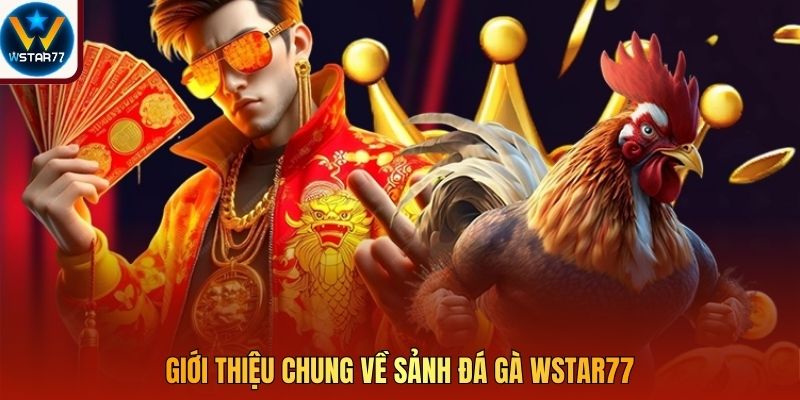 Giới thiệu chung về sảnh đá gà Wstar77