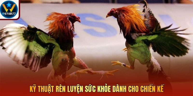 Kỹ thuật rèn luyện sức khỏe dành cho chiến kế