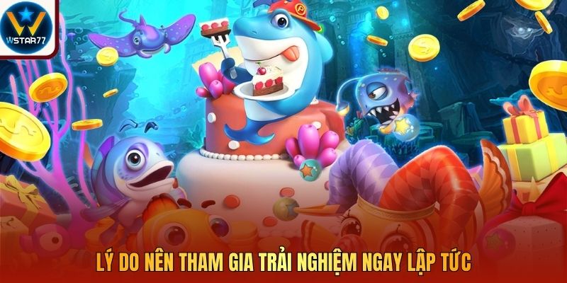 Lý do nên tham gia trải nghiệm ngay lập tức