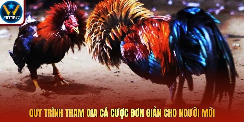 Quy trình tham gia cá cược đơn giản cho người mới