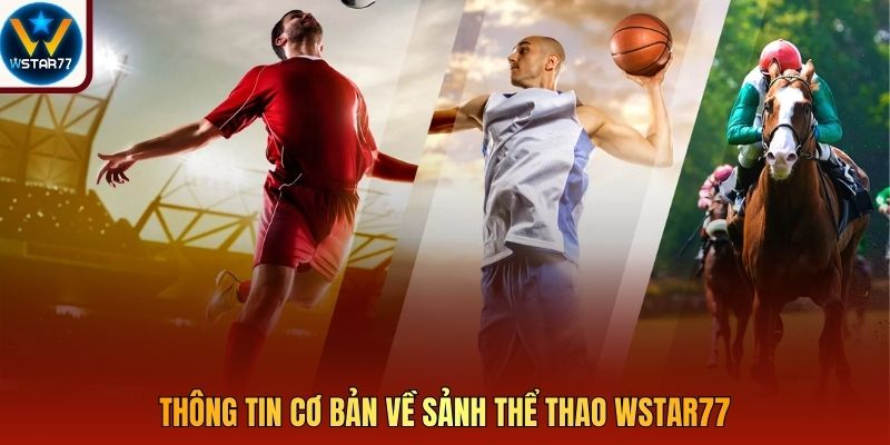 Thông tin cơ bản về sảnh thể thao Wstar77