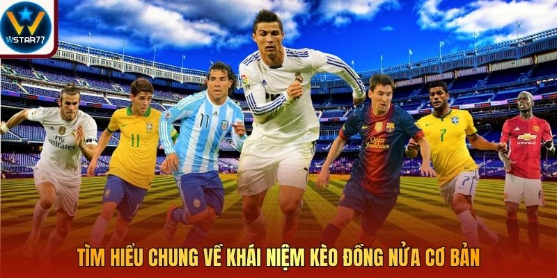 Tìm hiểu chung về khái niệm kèo đồng nửa cơ bản