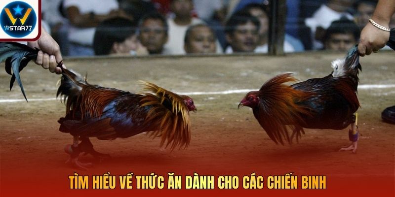 Tìm hiểu về thức ăn dành cho các chiến binh