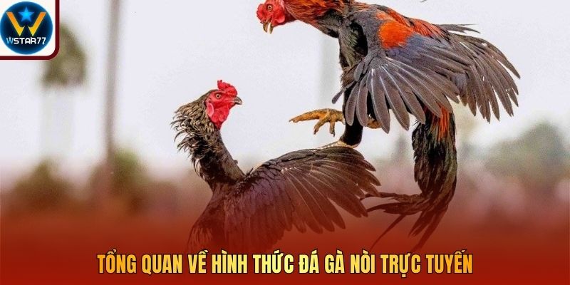 Tổng quan về hình thức đá gà nòi trực tuyến